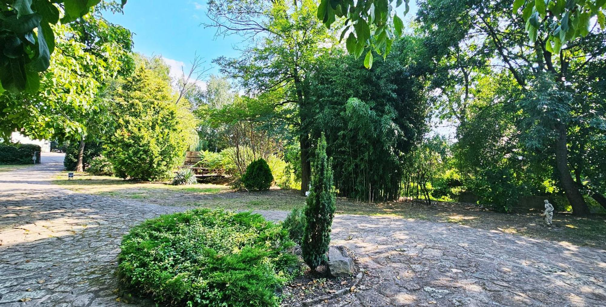 Bogács Levendula Resort Es Rendezvenykoezpont المظهر الخارجي الصورة